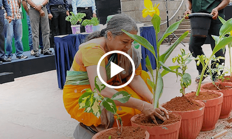 Embassy Group - Video Thumbnail